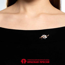 БРОШЬ 13815847