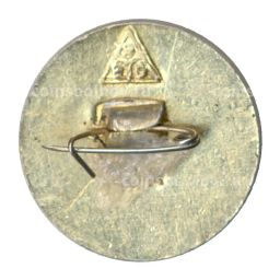 Значок Владимир