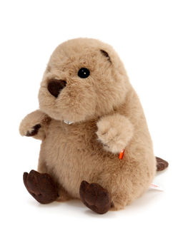 Мягкая игрушка "Бобёр Бобрик", 22 см OT8036/22