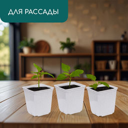 Цена за 36 шт. Горшок для рассады, 250 мл, d=7 см, h=8 см, пластик, белый