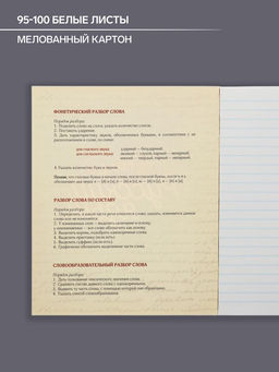 Цена за 10 шт. Тетрадь предметная, 48 листов в линейку, Calligrata, Неон. Русский язык  фото 2