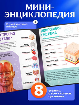 Набор для опытов Строение тела, анатомия человека - Эврики фото 16