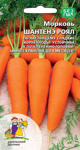 Морковь ШАНТЕНЭ РОЯЛ  Улучшенная вариация популярного типа! Корнеплоды ровные, не растрескиваются!
