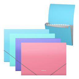 Цена за 4 шт. Папка-картотека пластиковая ErichKrause Diagonal Pastel, с 13 отделениями, A4, ассорти (в пакете по 4 шт.)