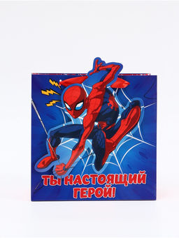 Цена за 2 шт. Пакет подарочный «Супергерой», 22 × 22 × 10 см