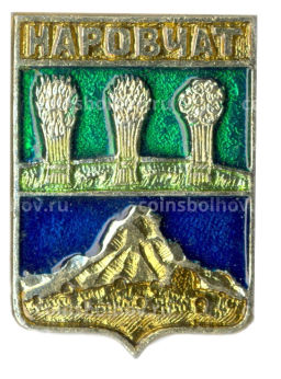 Значок Наровчат