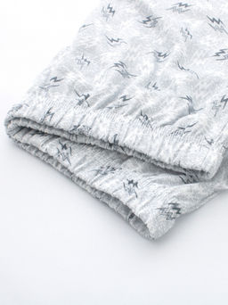 Трусы семейные, цв. Молния