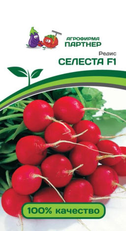 Редис Селеста - Партнер фото 2