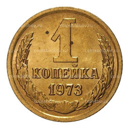 Монета 1 копейка 1973 года