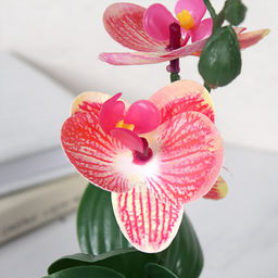 Цветочная композиция Орхидея 27 см / ZH-010 /уп 10/120/ - Галеонтрейд фото 5