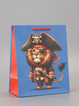Цена за 2 шт. Пакет подарочный ламинированный «Пират» 18×22.3×10 см