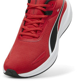 Кроссовки мужские