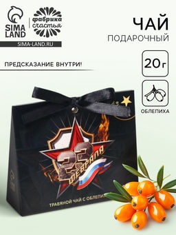 Цена за 2 шт. Чай подарочный травяной 23 февраля, с предсказанием, 20 г