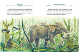 Сказки. Энде М. - Махаон фото 4