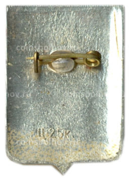 Значок Новгород