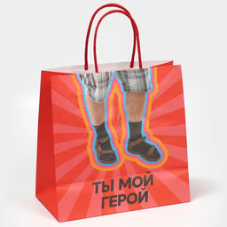 Пакет подарочный, упаковка, Герой, 22?22?11 см