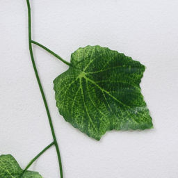 Цена за 12 шт. Лиана искусственная «Лист винограда», 2.3 м