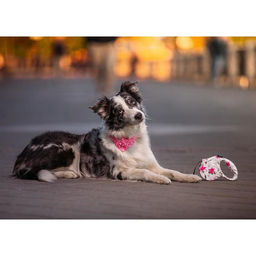 Рулетка Лапа, 5 м, до 35 кг, принт цветы - Пижон фото 12