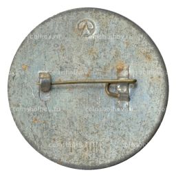 Значок Павильон К.Росси в Михайловском саду