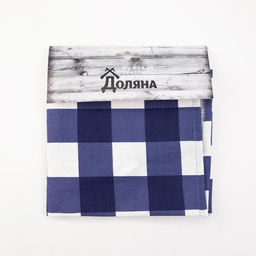Фартук Доляна Best man, синий, в клетку, 70?60 см, хлопок 100%, рогожка 160 г/м?