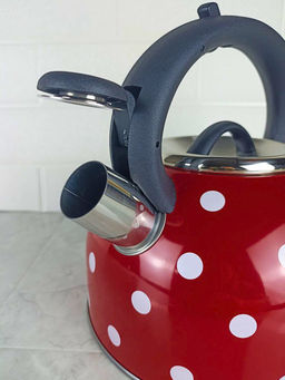 Чайник 2,5л нержавеющая сталь HR732-1 красный в белый горох OLS-001-5