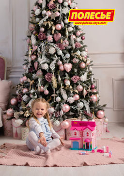 Кукольный домик София с набором мебели и автомобилем (14 элементов) (в пакете) - Полесье фото 7