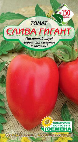 Слива гигант томат 20шт.(ссс)