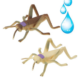 Фигурка ABtoys Юный натуралист Волшебный жук, меняет цвет в воде, дисплей 24 шт