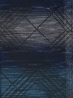 Шарф мужской Di Daneli SYS1909B - Greg фото 2