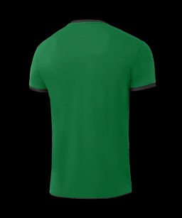 Футболка волейбольная JOGEL CAMP, зеленый, детский  фото 3