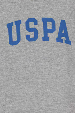 Свитшот для мальчика U.S. Polo Assn базовый серый меланж из хлопка  фото 6