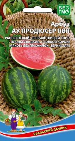 Арбуз ПРОДЮСЕР  Раннеспелый, неприхотливый сорт! Плоды сладкие, с тонкой корой! Мякоть без прожилок, зернистая!