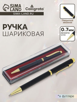 Ручка шариковая, подарочная, в пластиковом футляре, поворотная, Эксперт, чёрная матовая с золотистыми вставками