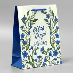 Цена за 2 шт. Пакет подарочный ламинированный, упаковка, «Всего-всего», MS 18 х 23 х 8 см