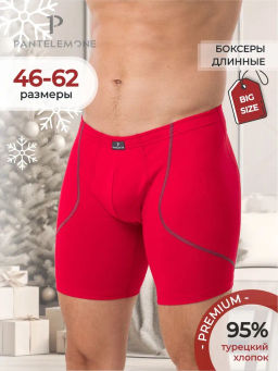 Трусы шорты удлиненные мужские PMHLL-1469 - Pantelemone фото 19