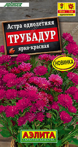 Астра Трубадур ярко-красная