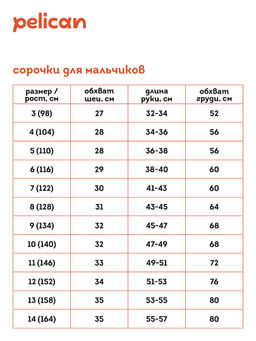 BULB3351(3шт. в упаковке) Трусы для мальчиков - Pelican фото 2