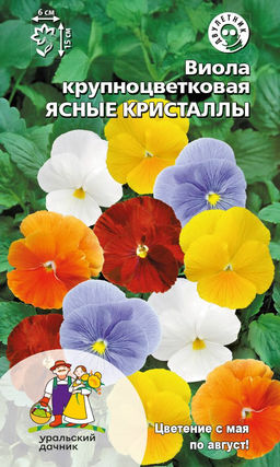 Виола ЯСНЫЕ КРИСТАЛЛЫ