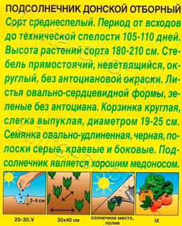 Подсолнечник Донской отборный 5г (Аэлита)