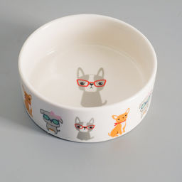 Миска керамическая Важный пес 250мл, 11,5 х 5 см, белая - Пижон фото 2