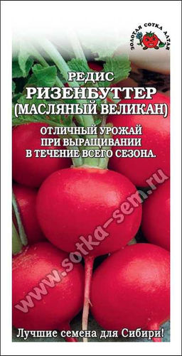 Редис Ризенбуттер 2г (Золотая сотка Алтая)