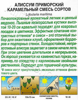 Алиссум Карамельный (смесь сортов) 0,05г (Аэлита)