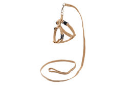 Шлейка 38*1см +поводок 1,2м бежевые капроновые (я041110беж) 99ред99 я041110беж я041110беж