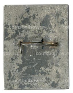 Значок Н.Г. Чернышевский