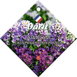 Алиссум Ежевичные меренги 0,2г (Дарит)