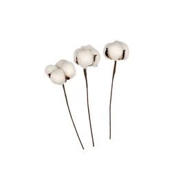 Искусственное растение Blumentag CTW-01 Веточка декоративная хлопок 20 см 5 х 3 шт. 01