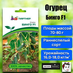 Огурец партенокарпический Бинго - Партнер фото 8