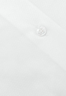 Сорочка мужская длинный рукав GREG 113/191/6075/Z_GB  фото 2