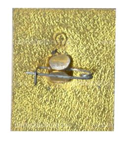 Значок Московский текстильный институт  лыжный спорт