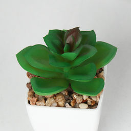 Цветочная композиция Кактус / WER-19 /уп 12/192/ микс - Галеонтрейд фото 21